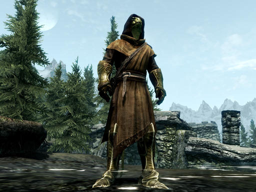 Elder Scrolls V: Skyrim, The - Скайримский дневник Квина, путешественника между мирами (Обновлено 10.12.11)) Elder Scrolls V: Skyrim, The - Скайримский дневник Квина, путешественника между мирами (Обновлено 10.12.11))